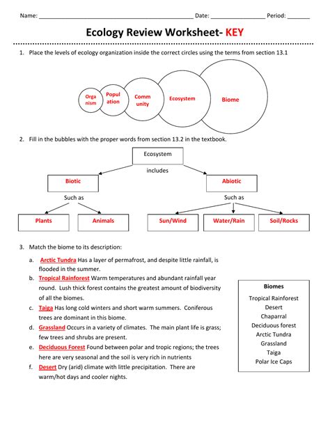 Ecological Relationships Worksheet Answers : Activity Relationships In